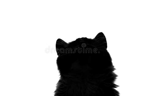 Silhouette fluffy cat stock image. Image of small, mammal - 63056871