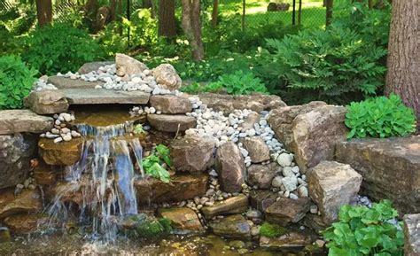 Design the Perfect Oasis for Your Backyard - Water Gardens