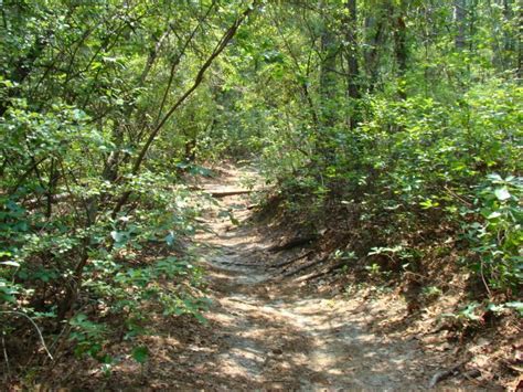 Sesquicentennial State Park Mountain Bike Trail in Columbia, South ...