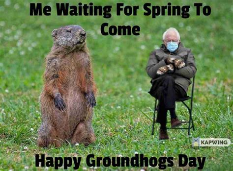 View 9 Groundhog Day Movie Memes - wishquoteage