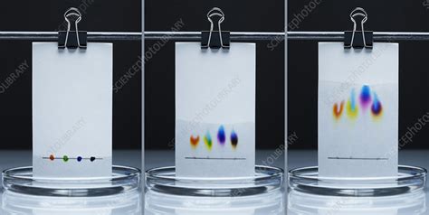 Paper Chromatography Diagram - vrogue.co