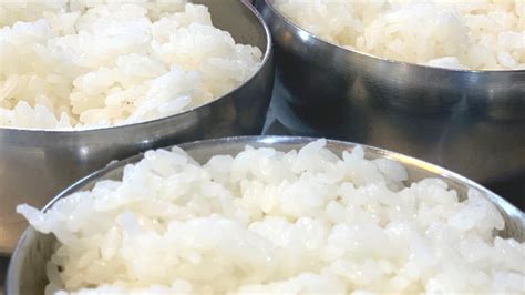 Korean Rice & Brands | Types of Rice, Where To Buy and How To Cook