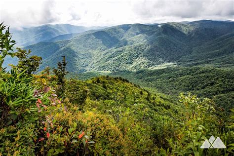 Cold Mountain NC on the Art Loeb Trail - Asheville Trails