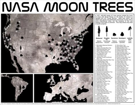 What in the World Are NASA Moon Trees?