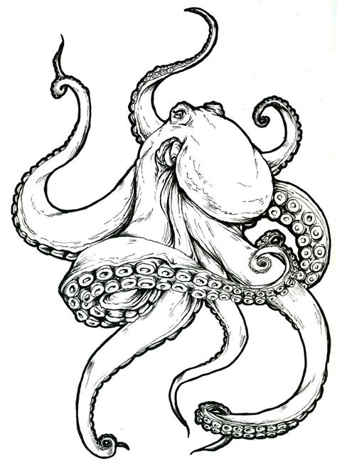 Tattoo design I made for a friend | Octopus tattoo design, Octopus drawing, Octopus tattoos