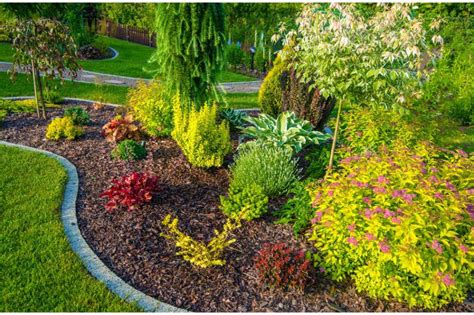 Best Landscaping Plants - Landscaping Accessories