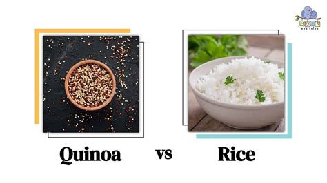 Quinoa vs. Rice: Which Grain is Right for You?