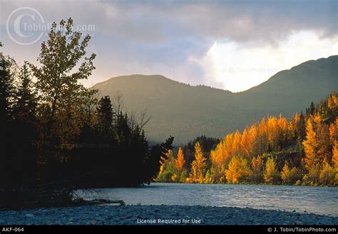 Photo of Alaska Fall Colors