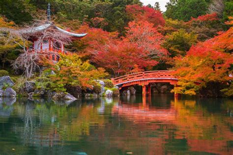 Architecture of Daigo-ji Temple in Autumn, Kyoto. Daigo-ji is a Shingon ...