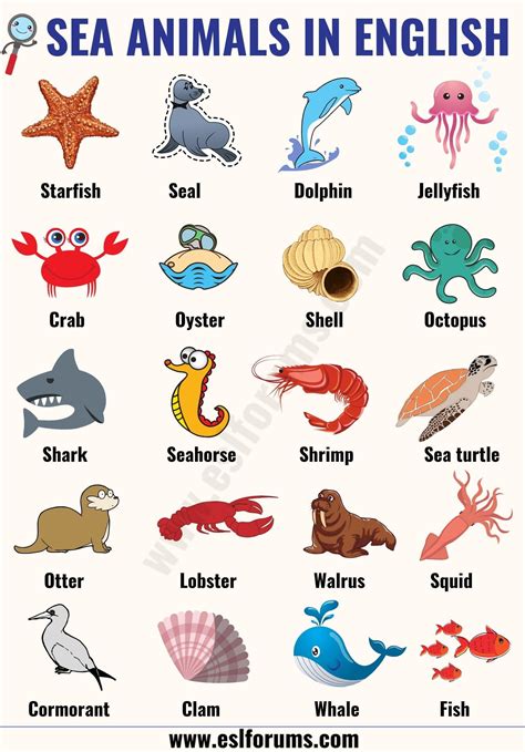 Marine Animals Name List