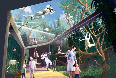 St. Louis Zoo announces new exhibit that will put primates — even ...