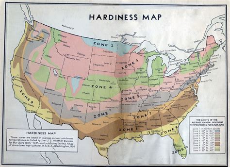 Hardiness Zones Explained