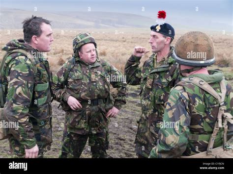 Soldiers from the Territorial Army training Stock Photo - Alamy