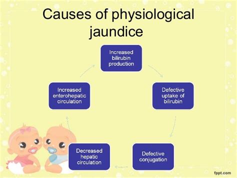 neonatal jaundice