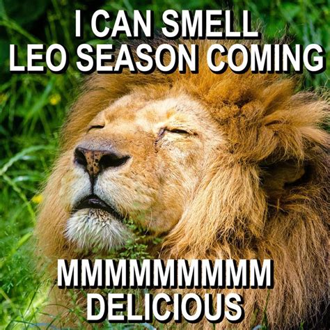 LEO SEASON IS COMING!!!!! Leo Zodiac Meme, Funny Leo Memes, Leo ...