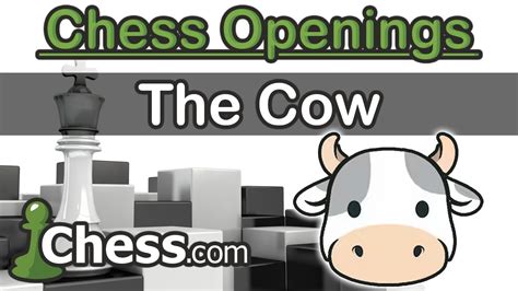 New Chess Opening: The Cow!! - YouTube