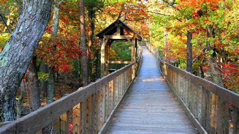 Cheaha State Park - Leave No Trace Gold Standard Sites