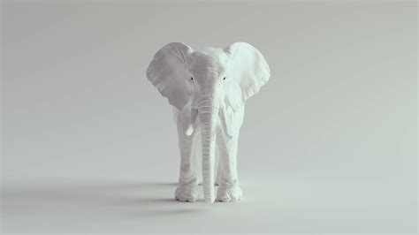 White Elephant Wallpapers - 4k, HD White Elephant Backgrounds on ...