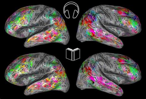 fMRI connects words to brain activity