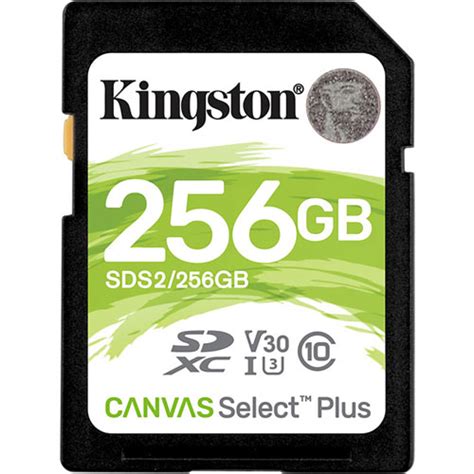 MEMORIA SD KINGSTON 256 GB | Kingston | Tecnología | SD y MicroSD | lumen.com.mx