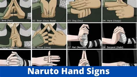 All Naruto Hand Signs & Seals: Meanings & How-To Guide