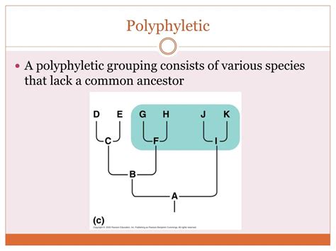 PPT - Cladograms and Phylogenetic Trees PowerPoint Presentation, free ...