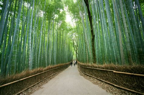 Arashiyama