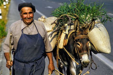 Cretan farmer with donkey, Greece