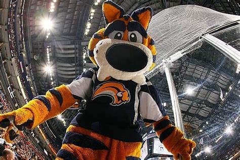 What is the salary of the Buffalo Sabres Mascot Sabretooth?