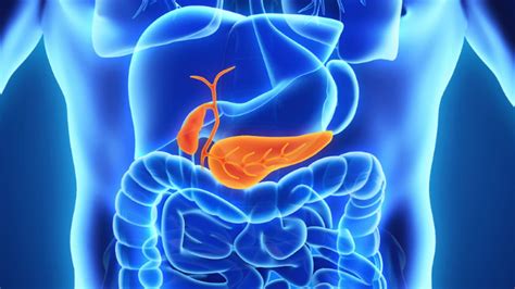 Guidelines for Evaluation and Management of Pancreatic Cysts - BroadcastMed