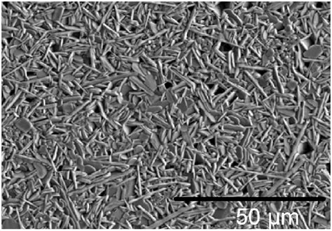 Typical microstructure of BIT ceramics observed by SEM showing the... | Download Scientific Diagram