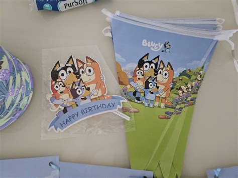 Bluey party bundle, Hobbies & Toys, Stationery & Craft, Occasions ...