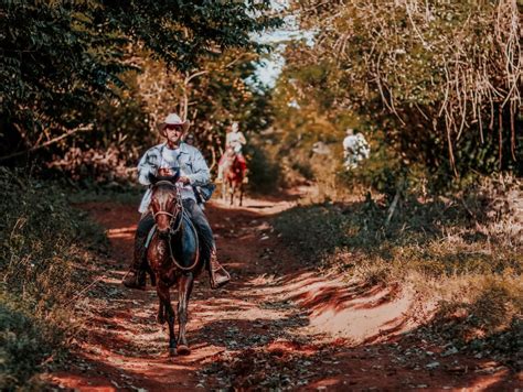 Guided Horseback Tours