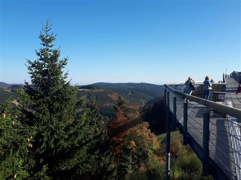 Die große Panorama Erlebnis Brücke in Winterberg im Sauerland