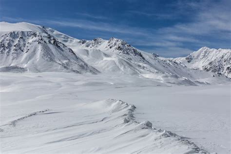 Know the Climate and Wildlife of the Tundra Land Biome in 2020 | Biomes, Arctic tundra, Natural ...