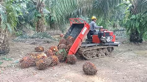 Mechanisation – Sawit Kinabalu