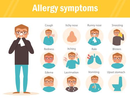 Vector of Allergy symptoms. Cough, - ID:68184597 - Royalty Free Image ...