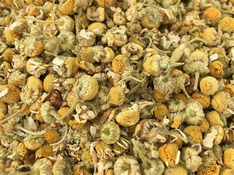 ORGANIC CHAMOMILE TEA // Sleep Tea // Sleepytime Tea // Wind | Etsy