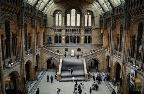 Natural History Museum of London. - Tumblr Pics