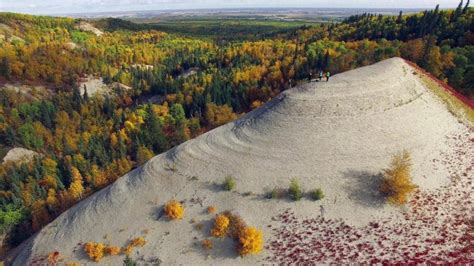 Services still suspended at Riding Mountain National Park | CTV News