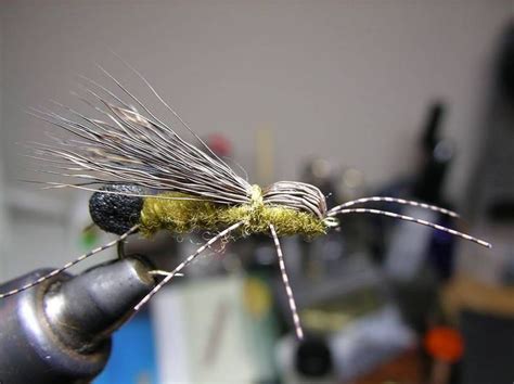 Skwala dry and nymph recipe? | Fly tying, Fly fishing flies pattern ...