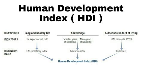 Components Of Human Development Index