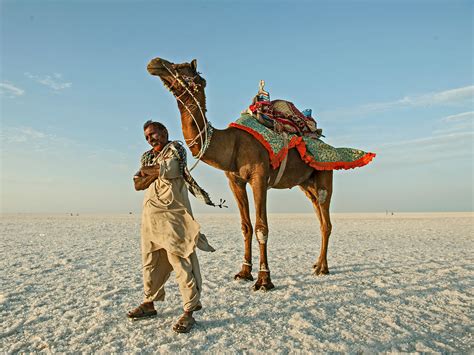 Images By Abhishek | A camel rider gets ready for work