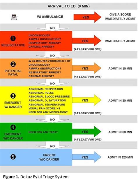 Dokuz Eylul Triage System: A five category triage algorithm ...