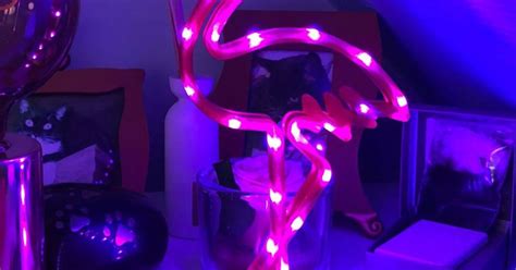 Flamingo NeonLed Lamp by Joris | Download free STL model | Printables.com