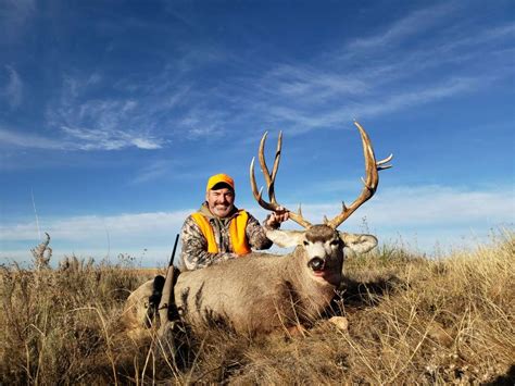 Colorado Mule Deer Hunts | Colorado Mule Deer Hunting Outfitters & Guide