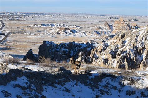 Badlands National Park, South Dakota - Floradise