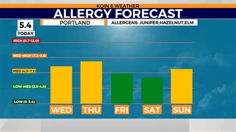 Allergy forecast: How the weather impacts the pollen | KOIN.com