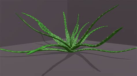 House plant Aloe - Download Free 3D model by Applepie911 [f8191f6] - Sketchfab