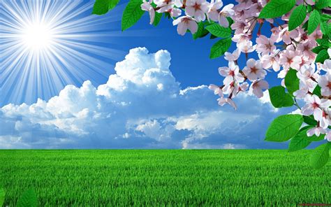 Sunny weather in the spring wallpapers and images - wallpapers, pictures, photos